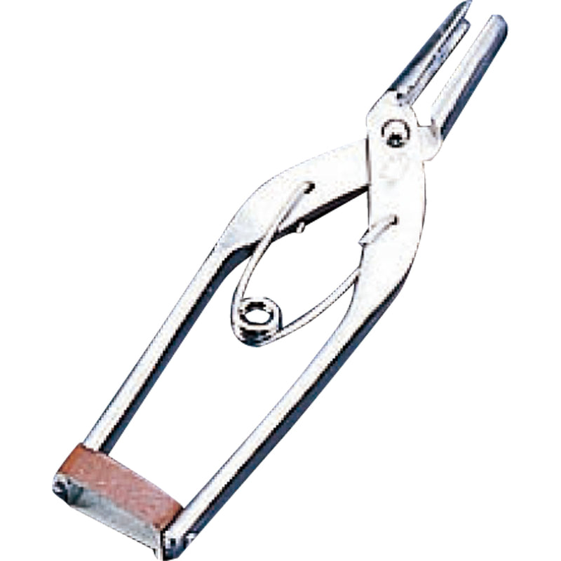 ダルマ印銀杏割