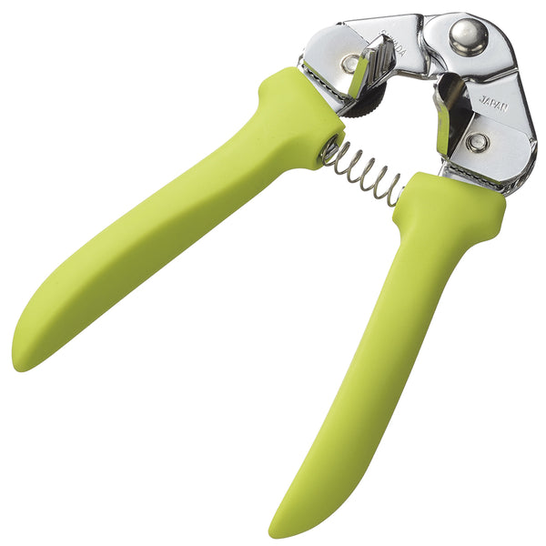 新ぎんなん坊主